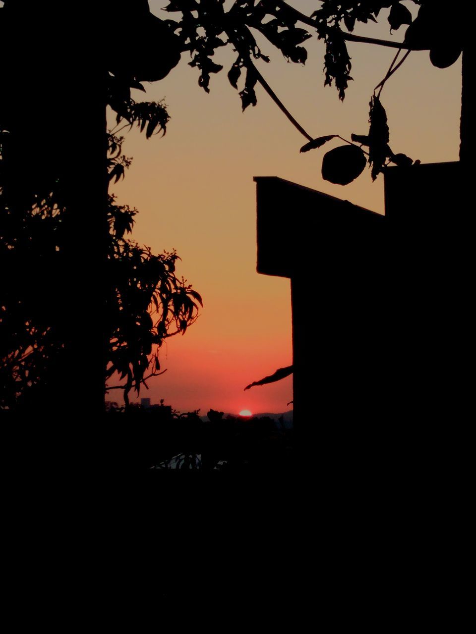 silhouette, sunset, tree, low angle view, sky, no people, outdoors, built structure, religion, nature, building exterior, architecture, cross, beauty in nature, growth, bell tower, scenics, clear sky, day