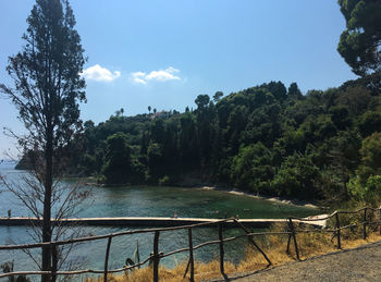 Scenic view of lake in forest against sky