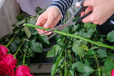 Florist arranging a bouquet from pink roses. close up florist working cutting roses stem l