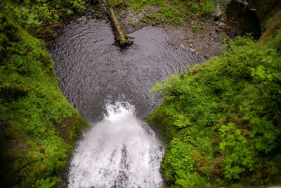 Water flowing through rocks in forest