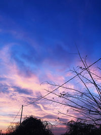 Low angle view of silhouette trees against sky at sunset