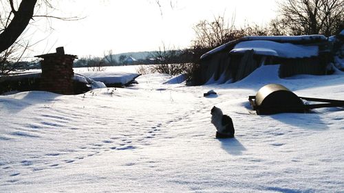 Scenic view of snow covered landscape during winter