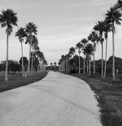 Road passing through trees