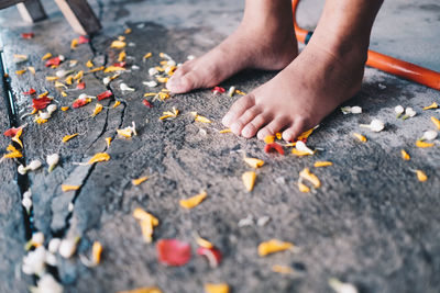 Low section of child by petals on floor