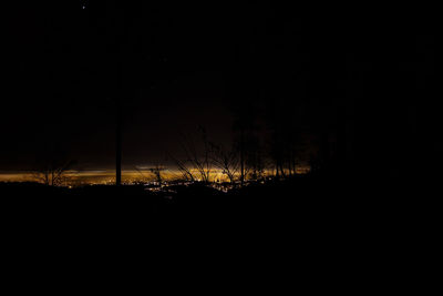 Silhouette trees against sky at night