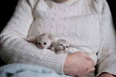 Old woman holding kitten