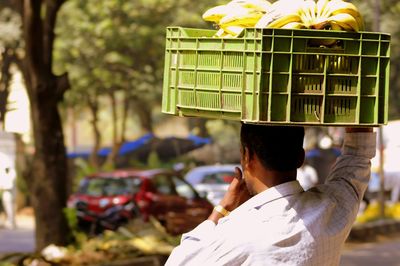 Rear view of man standing against trees in city