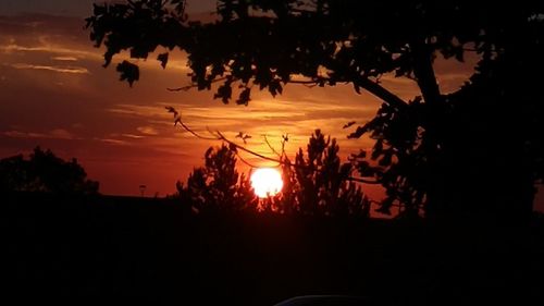 Silhouette trees against sky during sunset