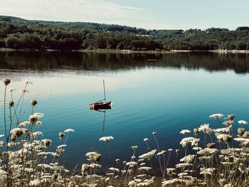 Scenic view of lake against sky