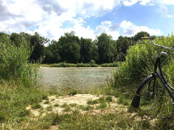 Bicycle by trees against sky