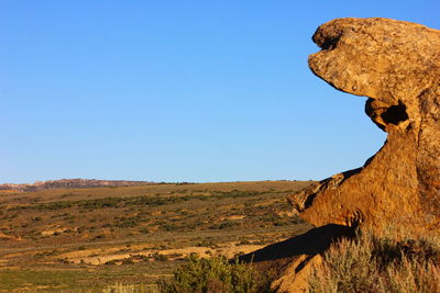 Bird on mountain against clear sky