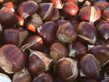 Full frame shot of chestnuts