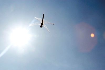 Low angle view of airplane flying against clear sky