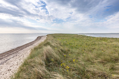 Scenic view of beach against sky