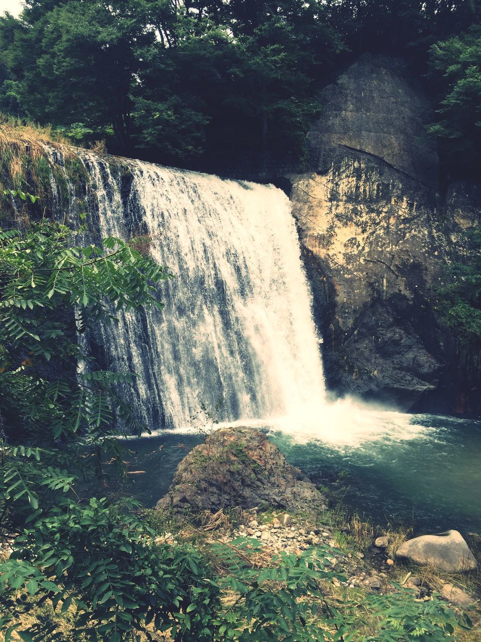 waterfall, water, motion, flowing water, long exposure, flowing, beauty in nature, rock - object, scenics, nature, forest, tree, surf, blurred motion, splashing, plant, idyllic, outdoors, day, growth