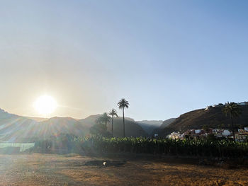 Scenic view of landscape against clear sky