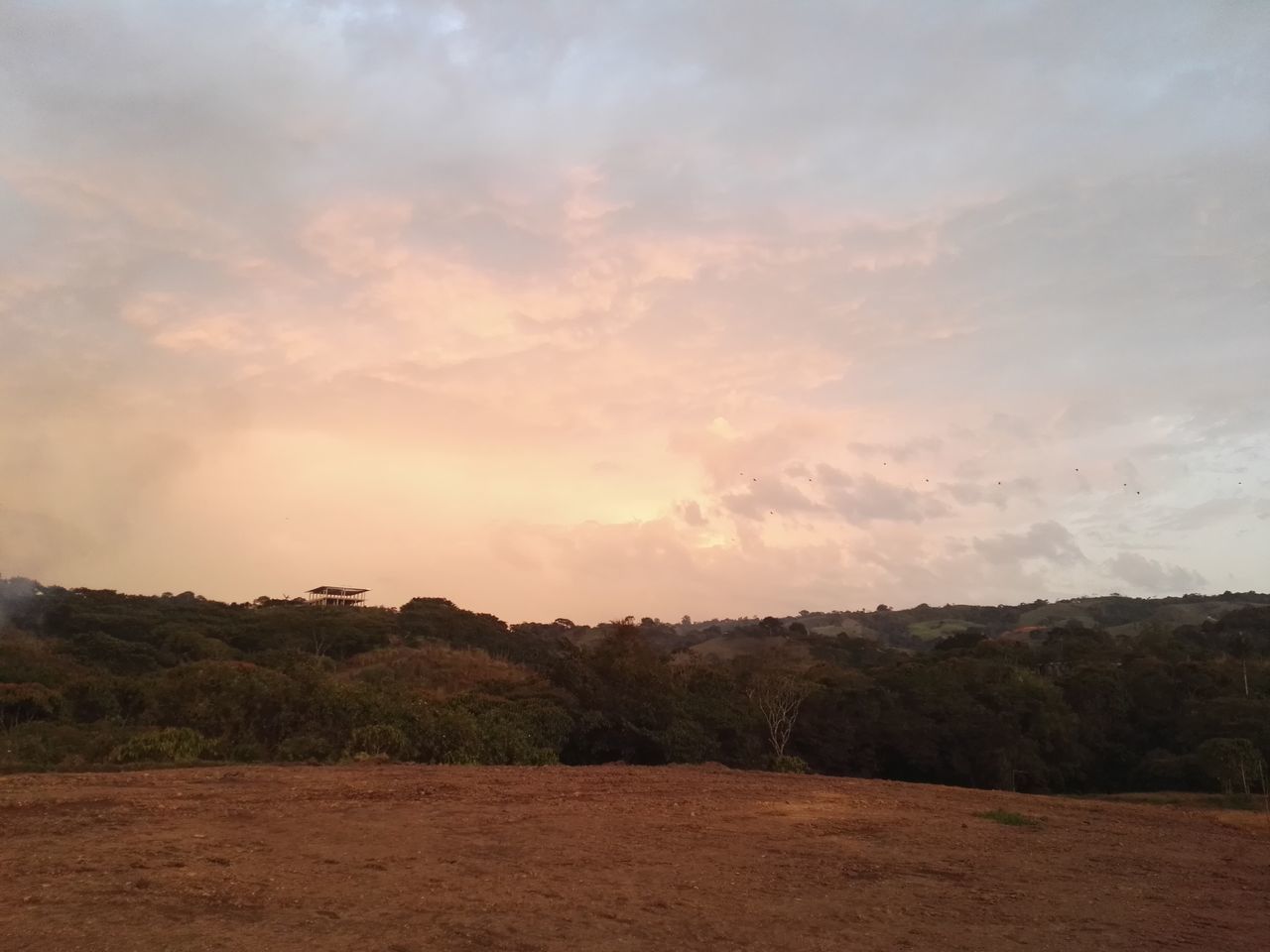 sky, tree, tranquil scene, landscape, tranquility, scenics, cloud - sky, beauty in nature, nature, field, cloudy, growth, cloud, non-urban scene, idyllic, sunset, remote, outdoors, rural scene, horizon over land