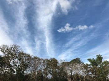 Low angle view of sunlight streaming through trees against sky