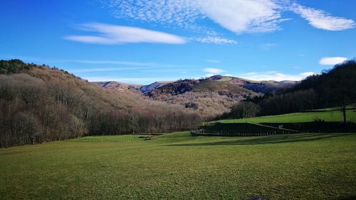 Scenic view of landscape against blue sky