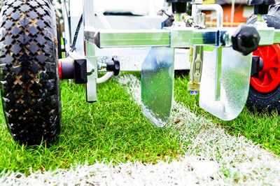 High angle view of green grass