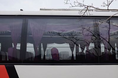 Bare trees in front of building