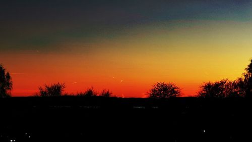 Silhouette plants against dramatic sky during sunset