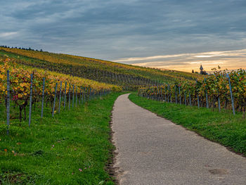 Empty road amidst field against sky