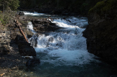 River flowing through forest