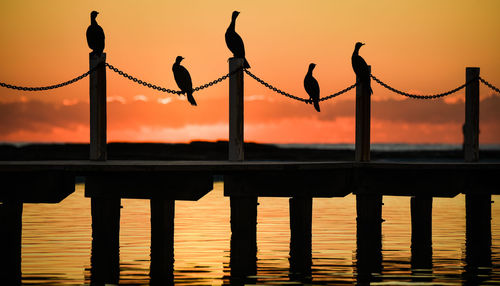 Silhouette birds on wooden post by sea against sky during sunset