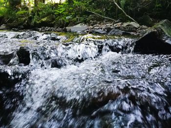 River flowing through rocks in forest