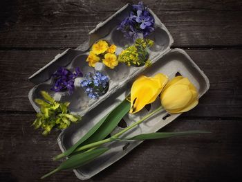 High angle view of yellow flowers on table