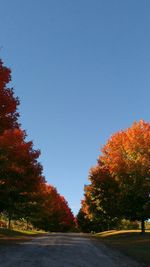 Road passing through forest against clear sky