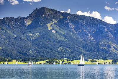 Sailboats sailing in river against mountain