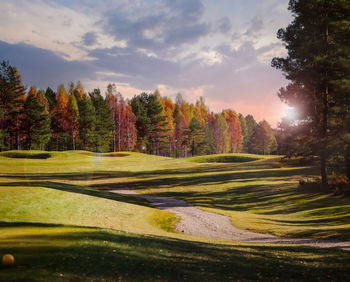 Golf course, landscape, green grass on the background of the forest and a bright sky with clouds.