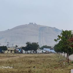 Scenic view of field against clear sky