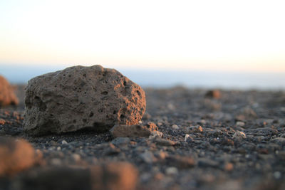 Close-up of stones on rocks