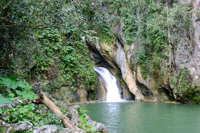 River flowing through rocks