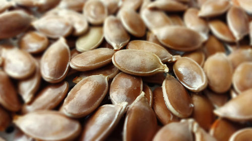 Macro photo of pumpkin seeds, close-up, background texture