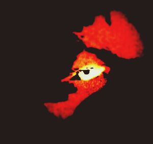 night