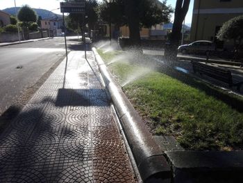 Shadow of people on road