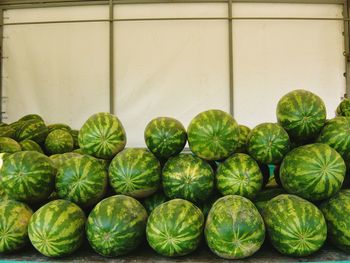 Watermelons for sale