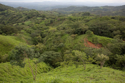 Scenic view of mountains