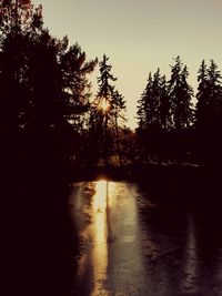 Silhouette trees by lake against sky during sunset