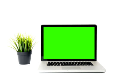 Potted plant on table against white background