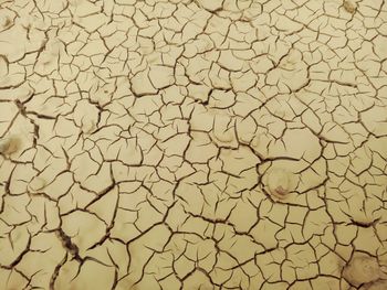 Full frame shot of cracked land