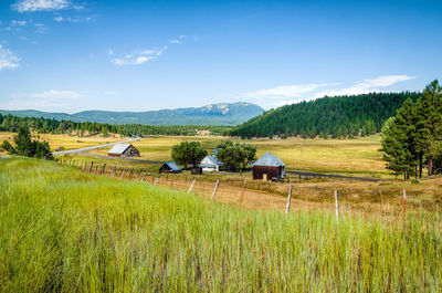 Scenic view of green landscape against blue sky