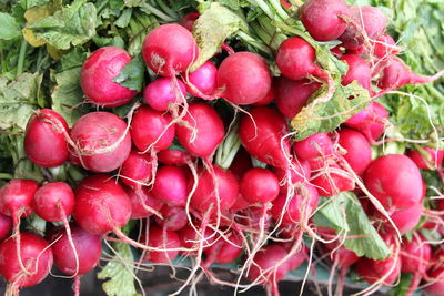 Close-up of strawberries