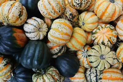 Full frame shot of pumpkins