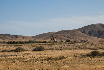 Scenic view of desert against sky