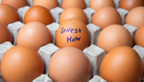 High angle view of eggs in row